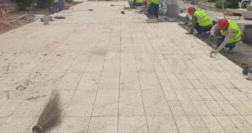 常德黄金麻荔枝面地铺案例