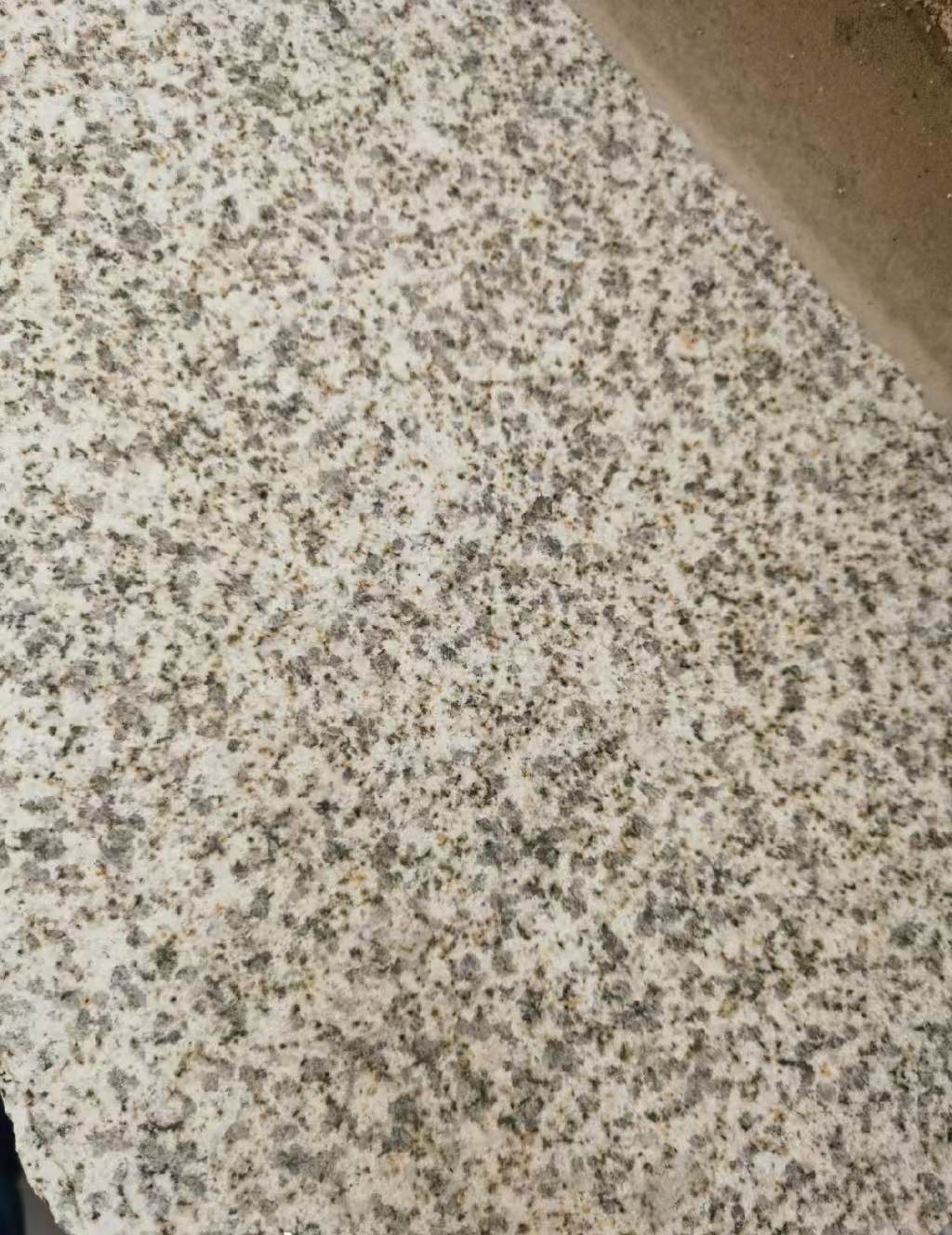 常德 黄金麻中黄光面