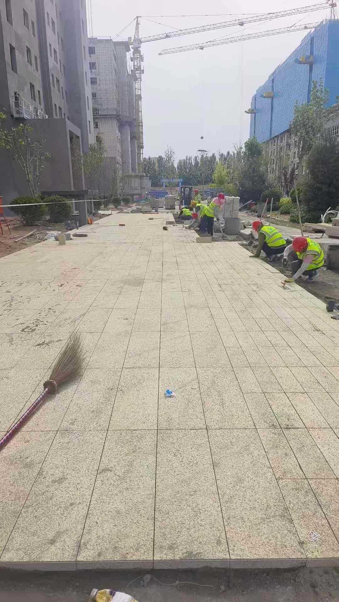 常德黄金麻荔枝面地铺案例